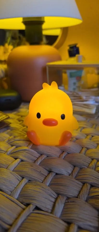 Customer photo review of Duck LED Night Light
