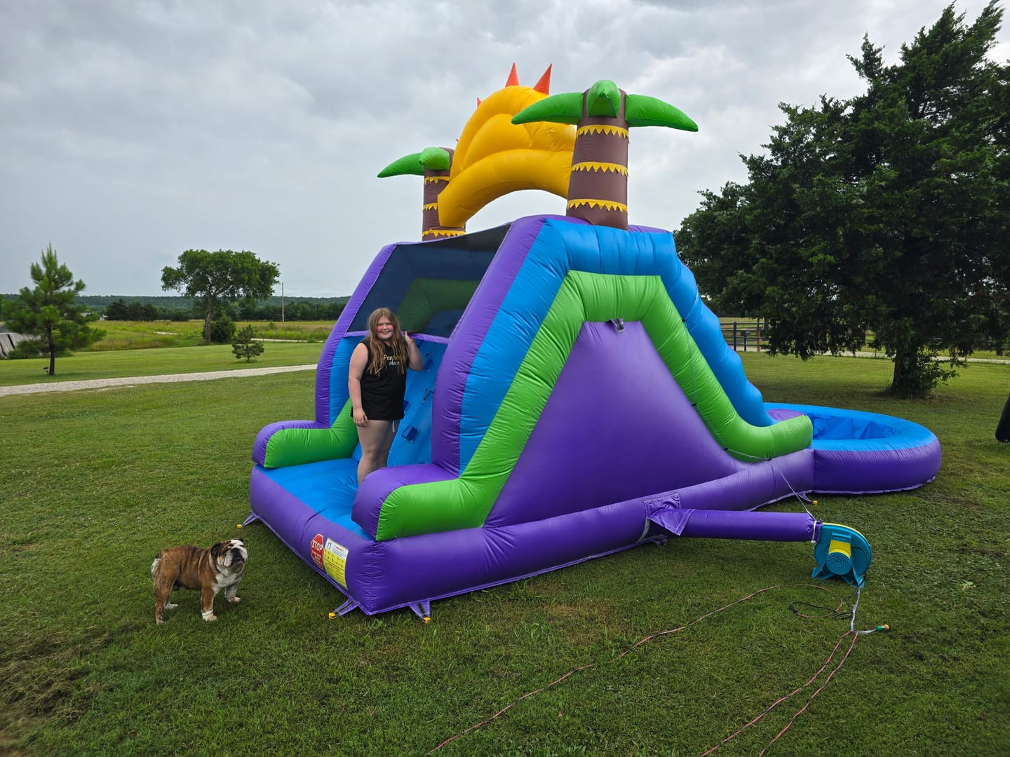 Customer photo review of 26FT Premium PVC Commercial Inflatable Water Slide with Pool