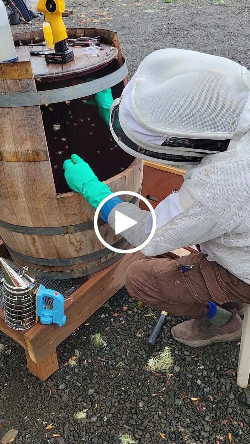 Customer video review of TechBee Smoker