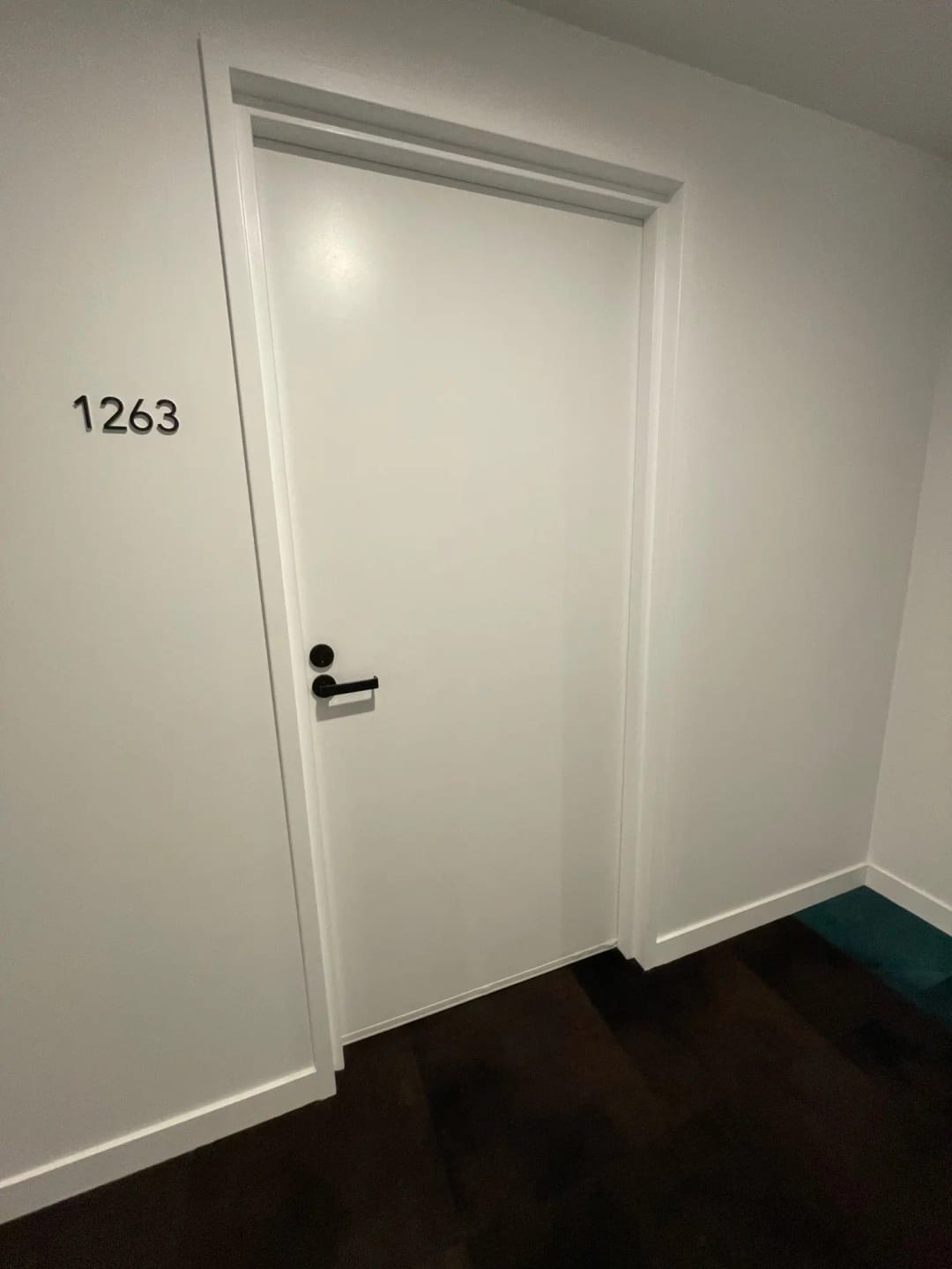 Customer photo review of Door Bottom Seal Strip – PVC Adjustable Weather Draft Stopper