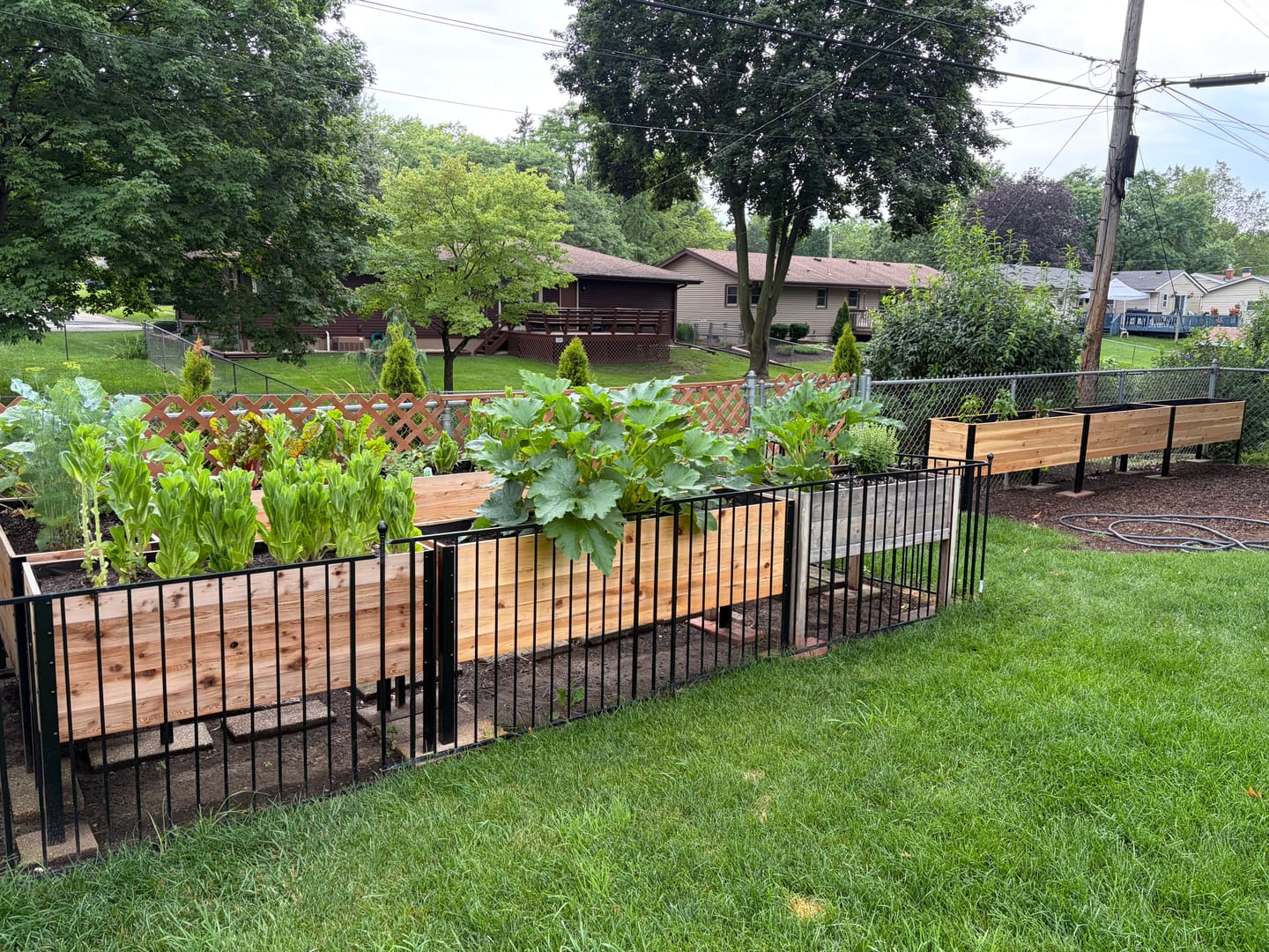 Customer photo review of 18" x 72" Raised Garden Bed - 30" TALL / Garden Grade