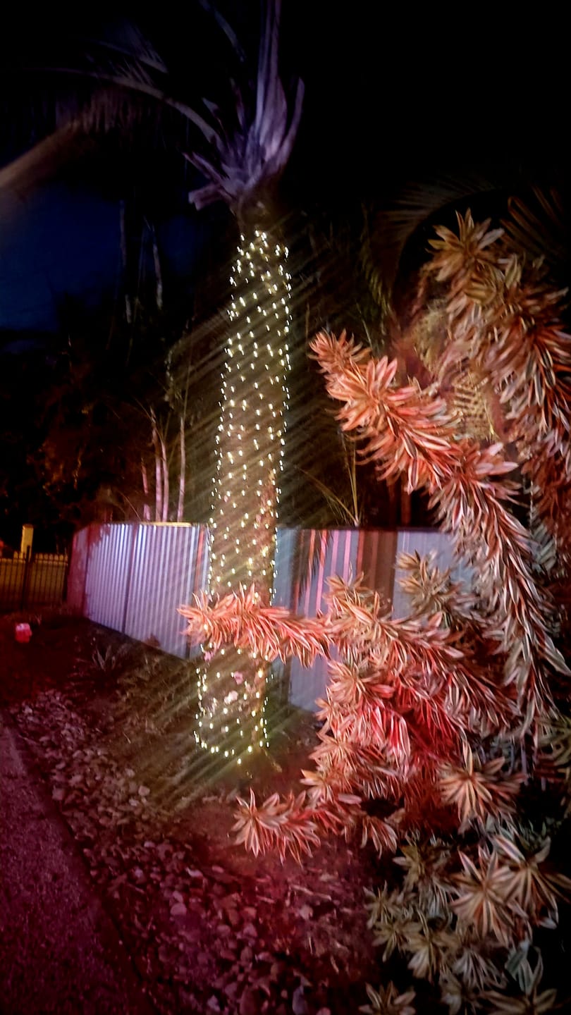 Customer photo review of SolaGarden™ Fairy String Lights