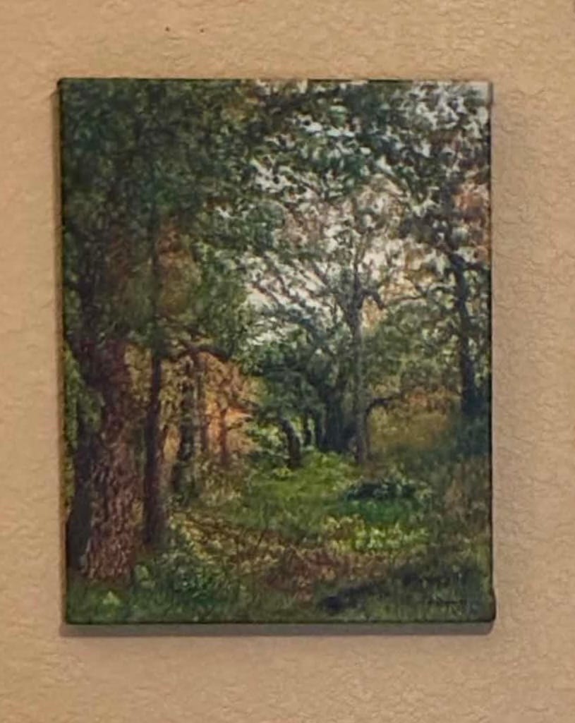 Customer photo review of 11x14 Gallery Wrapped Prints