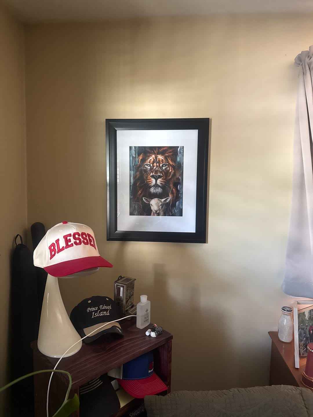 Customer photo review of The Lion and Lamb Passover