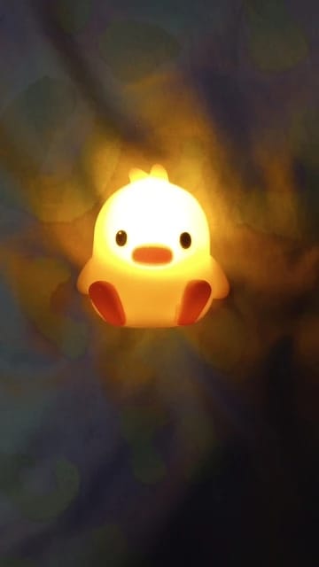Customer photo review of Duck LED Night Light