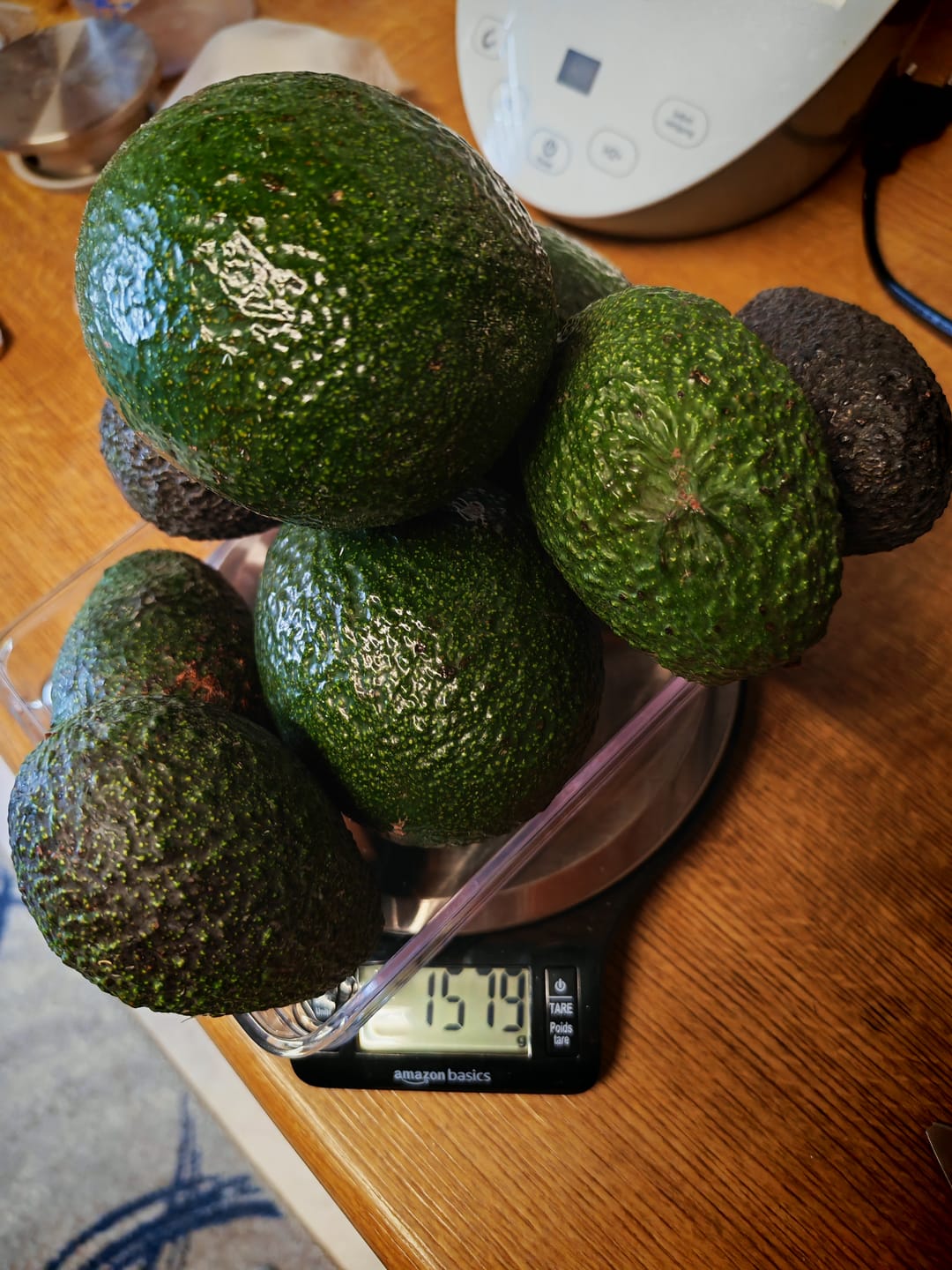 Customer photo review of Avocado Hass & Reed 15 Monate baumgereift von Julian