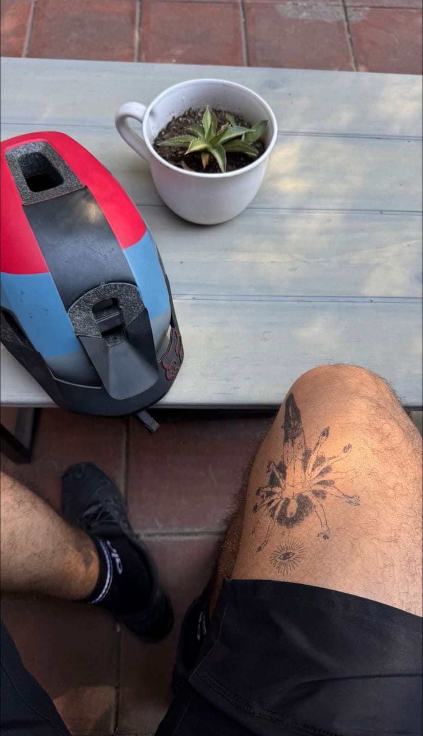 Customer photo review of Dimension absoluta