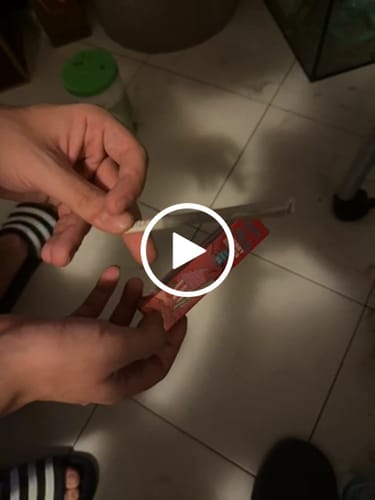Customer video review of White Russian THCA Flower
