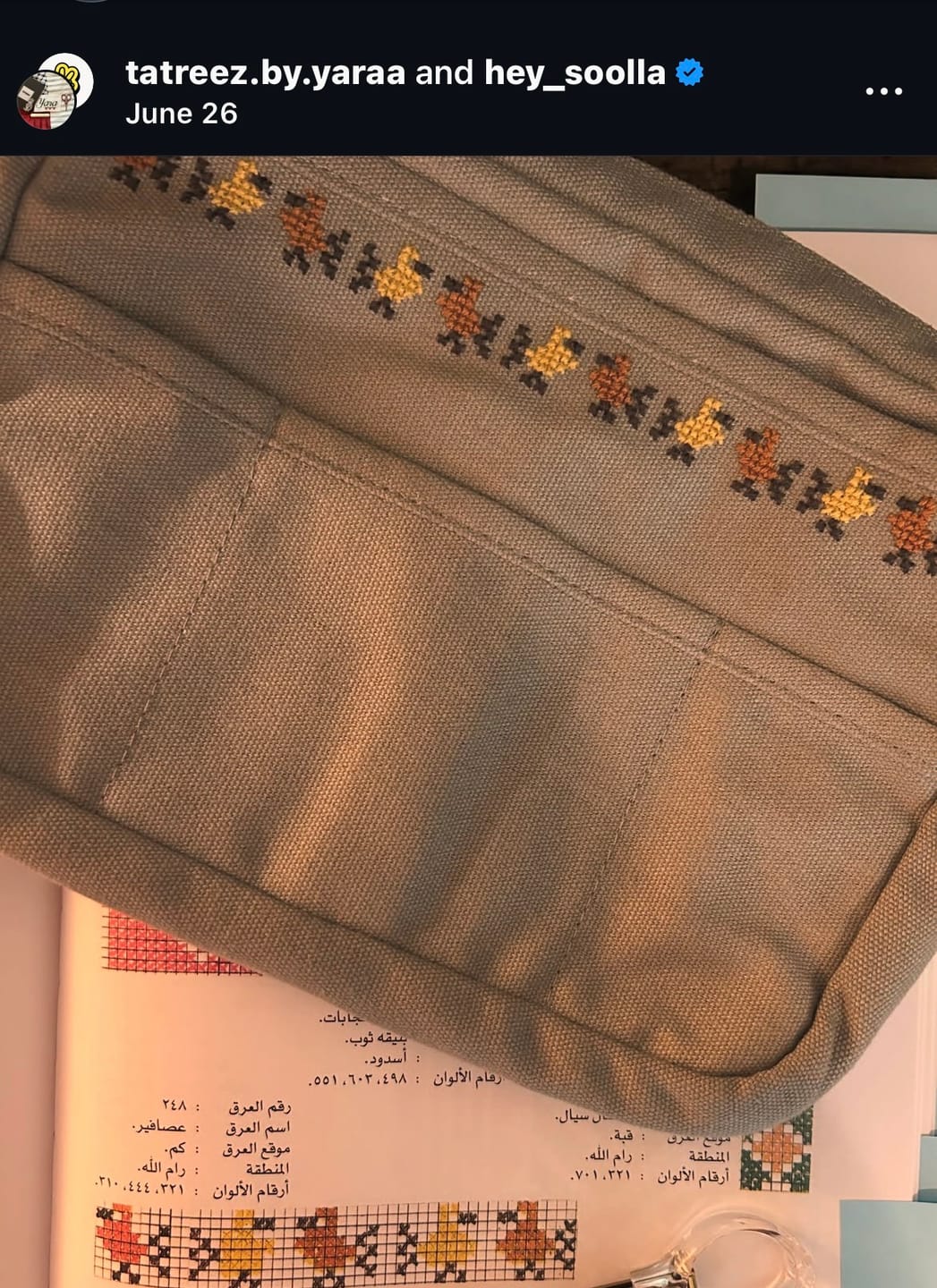 Customer photo review of Soolla® Studio Pouch, Graphite