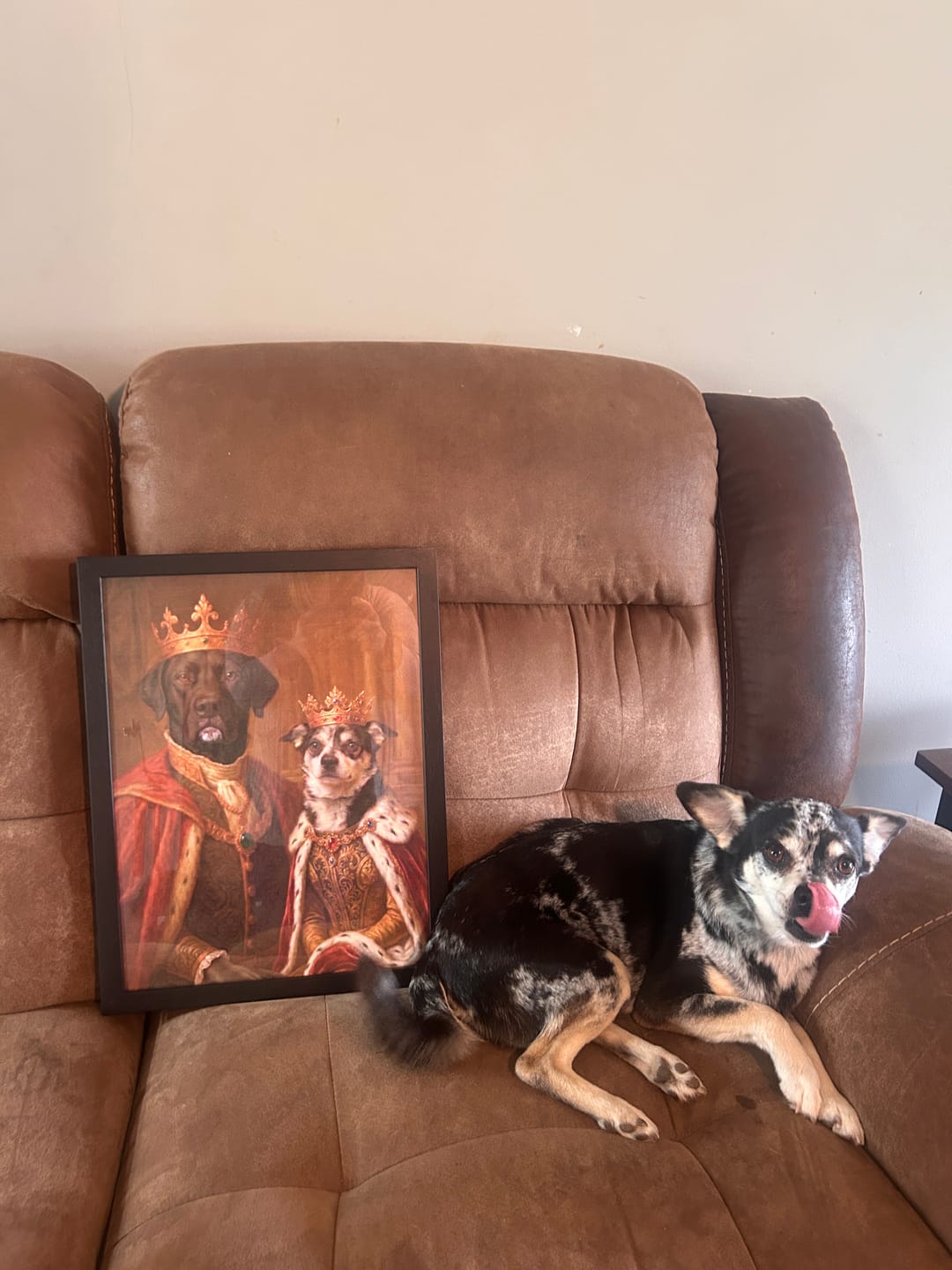 Customer photo review of Vintage Royal Custom Two Pet Portrait