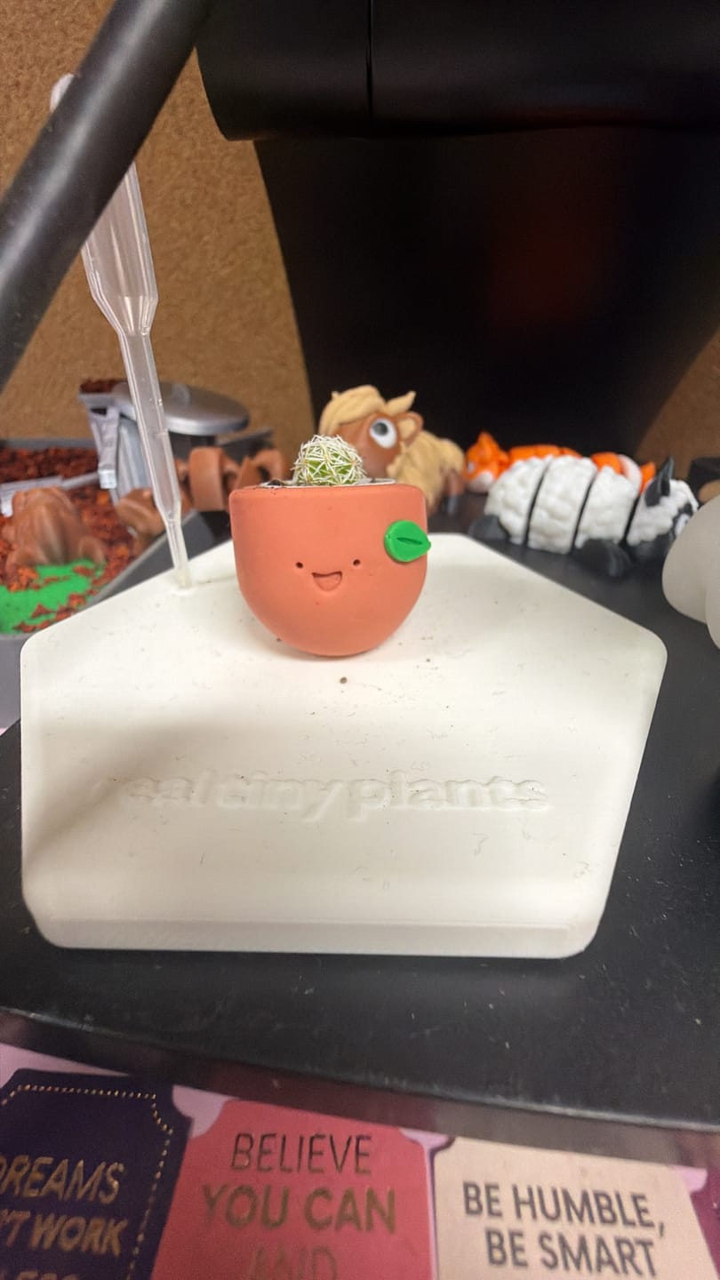 Customer photo review of Mystery Pool