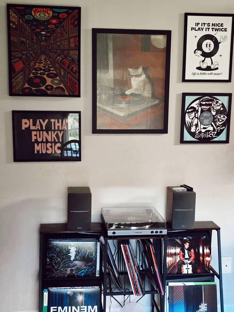 Customer photo review of DJ Cat Canvas Wall Art - Funny Vintage Music Room Decor