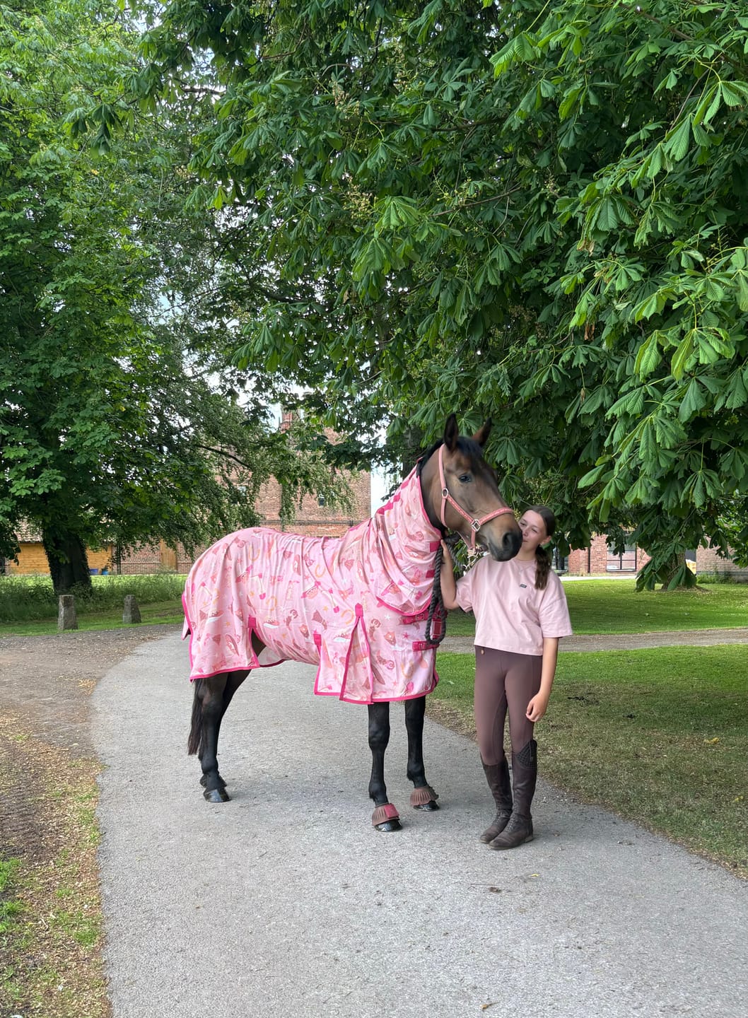 Customer photo review of NEW Country Star Fly Rug