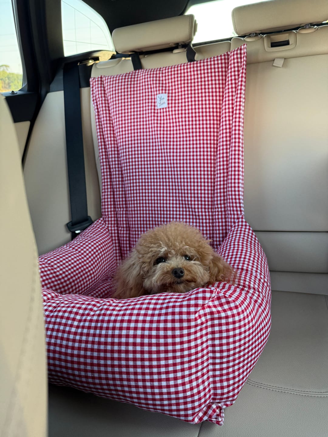 Customer photo review of Seggiolino Auto Cotone Vichy Rosso