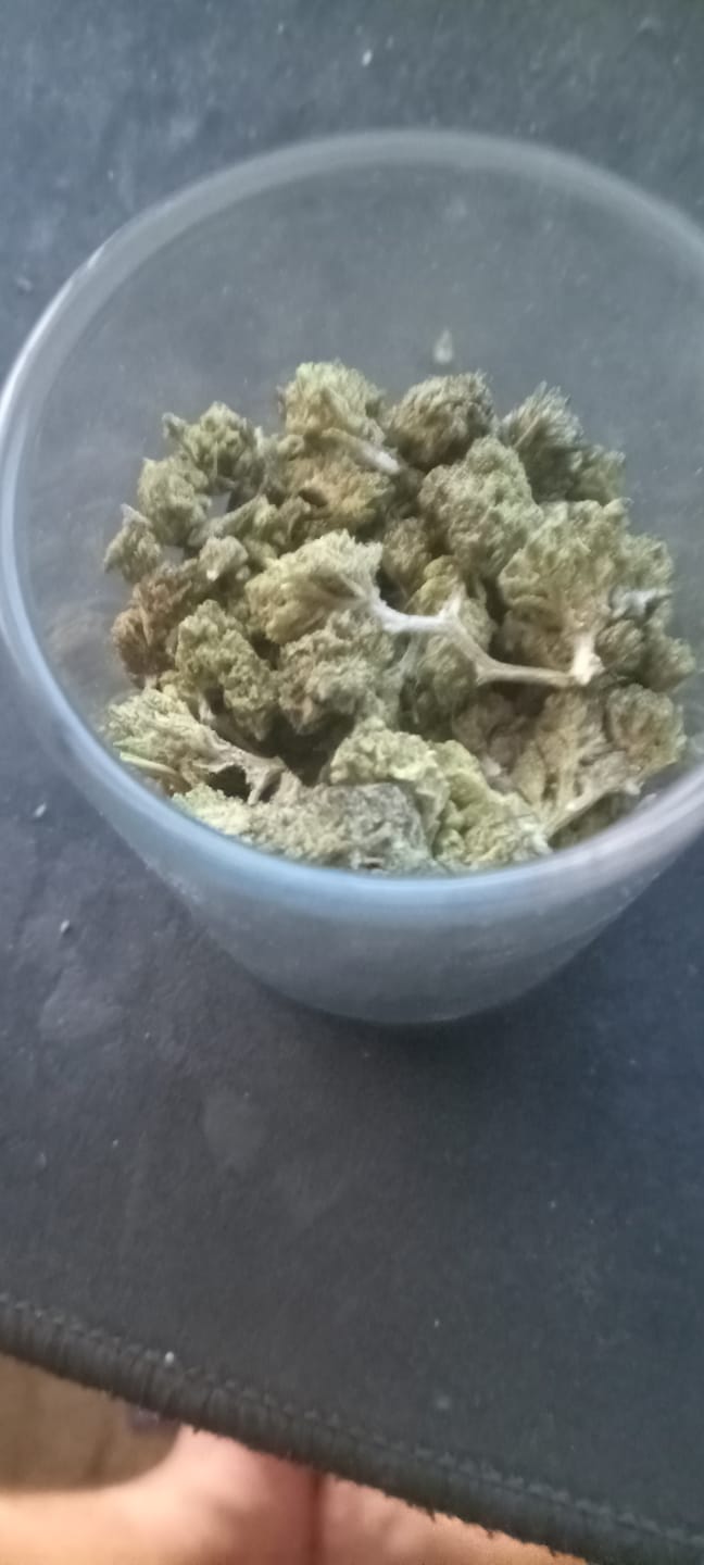 Customer photo review of Gelato Cake - 28 Grams - Hybrid