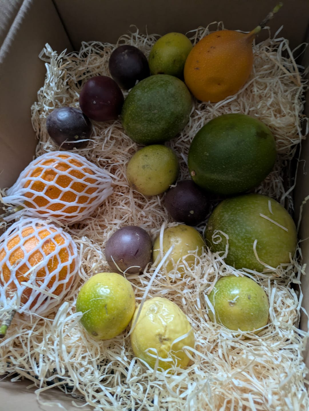 Customer photo review of "Passiflora Lovers" Maracuja-Mix Box