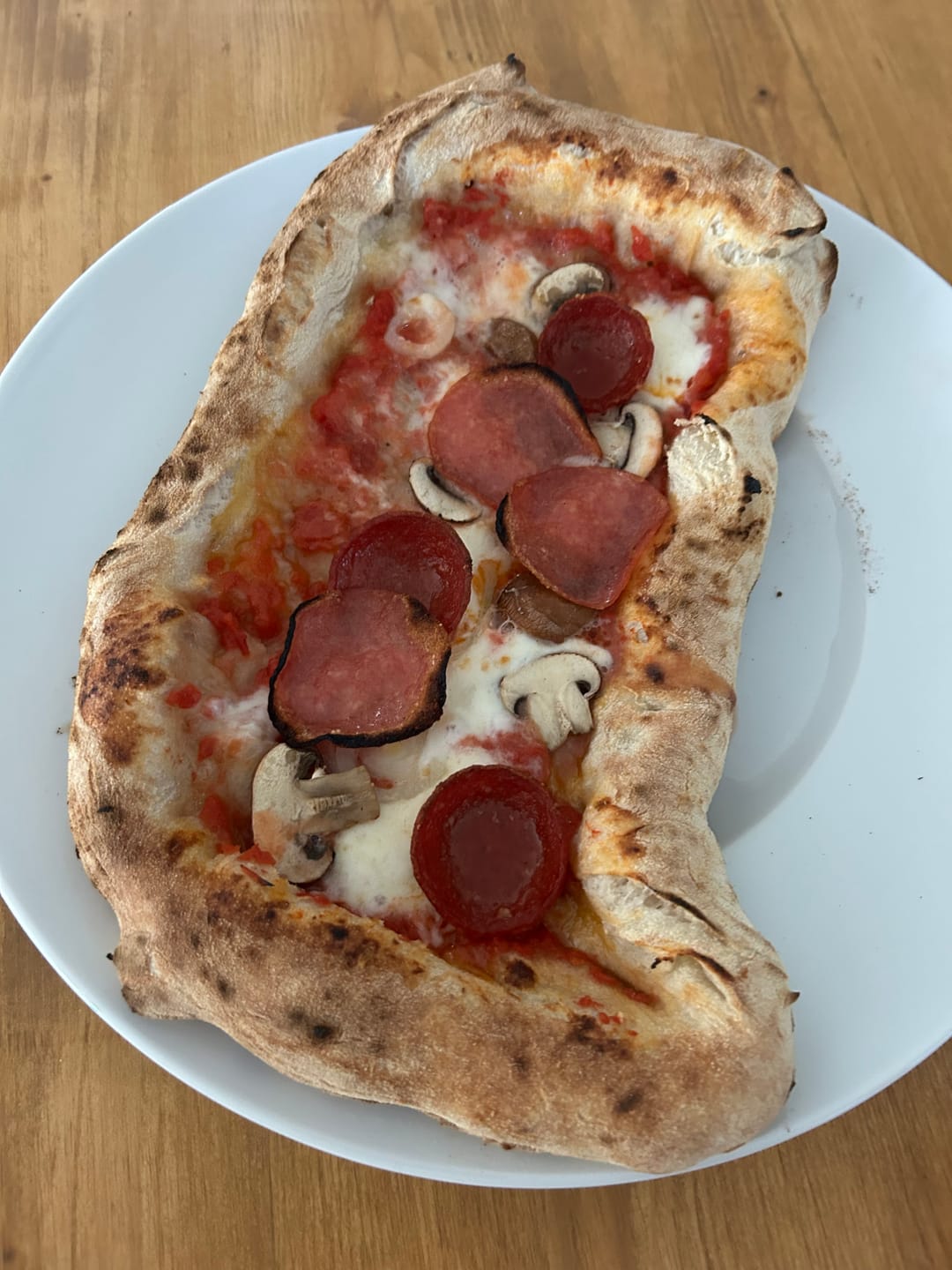Customer photo review of Macte Ovens Nettuno | Forno elettrico per pizza e pane