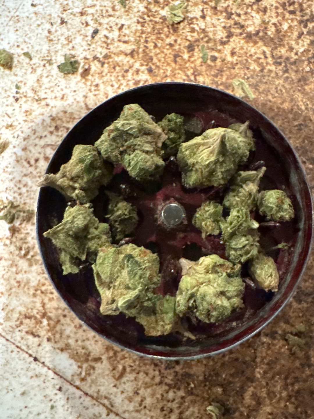 Customer photo review of True OG - Minis - 28 Grams - Indica