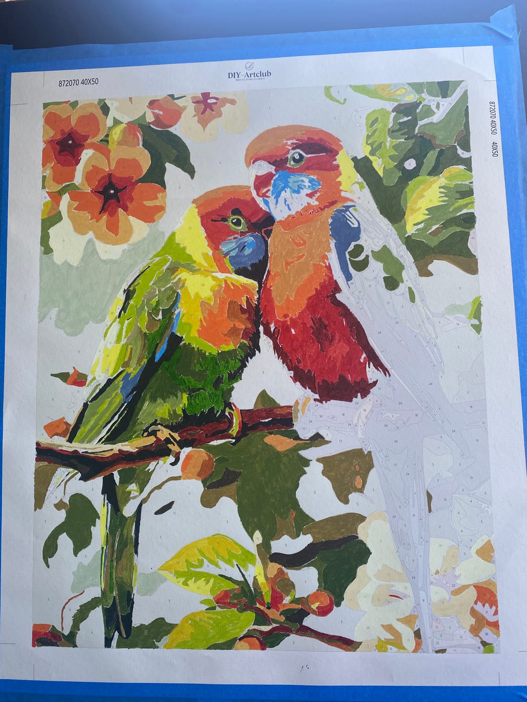 Customer photo review of 2 Colorful Birds | Paint by Numbers
