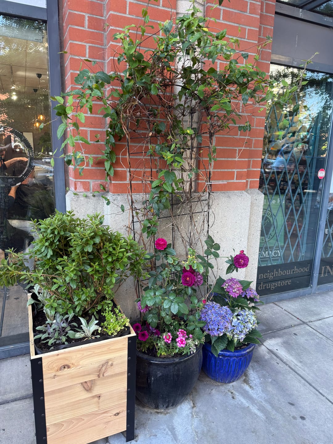 Customer photo review of 18" x 24" Planter Box - 24" TALL / Select Grade