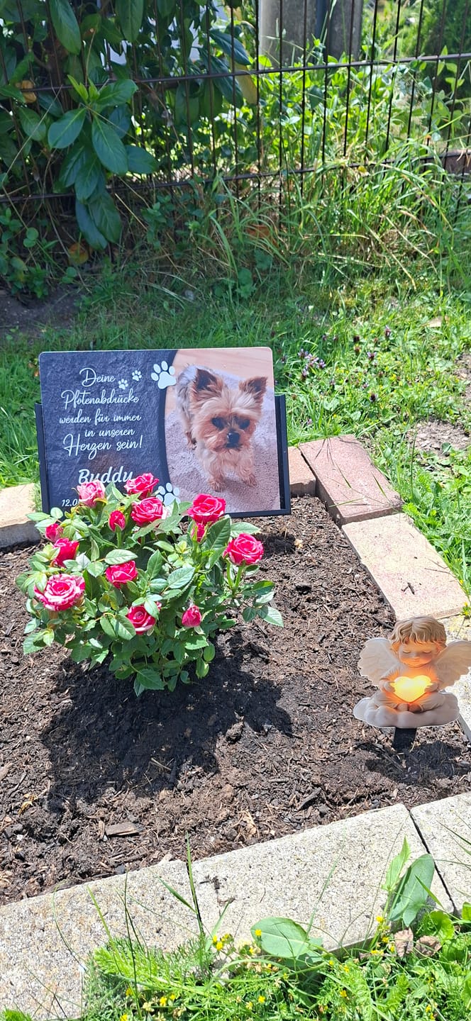 Customer photo review of Hunde Gedenktafel mit Foto & Spruch (UV- &  Wetterfest)