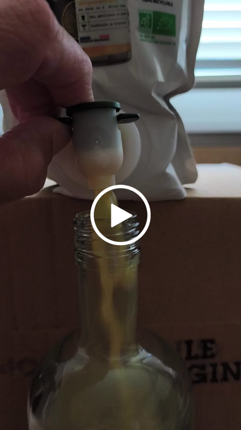 Customer video review of Le Ginger Classique Pouch 1 litre