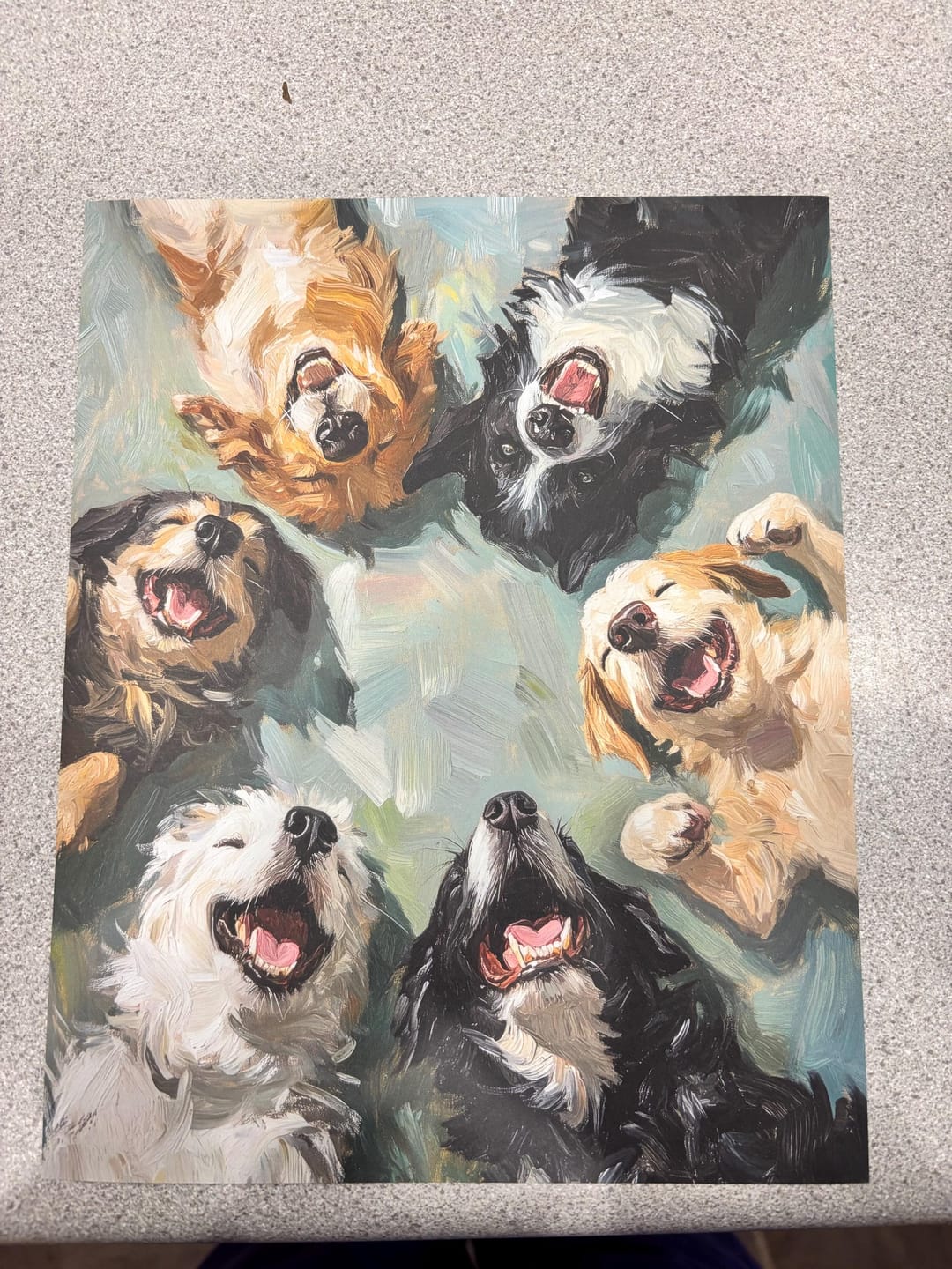 Customer photo review of Happy Dogs Canvas Wall Art – Playful Dog Circle Painting