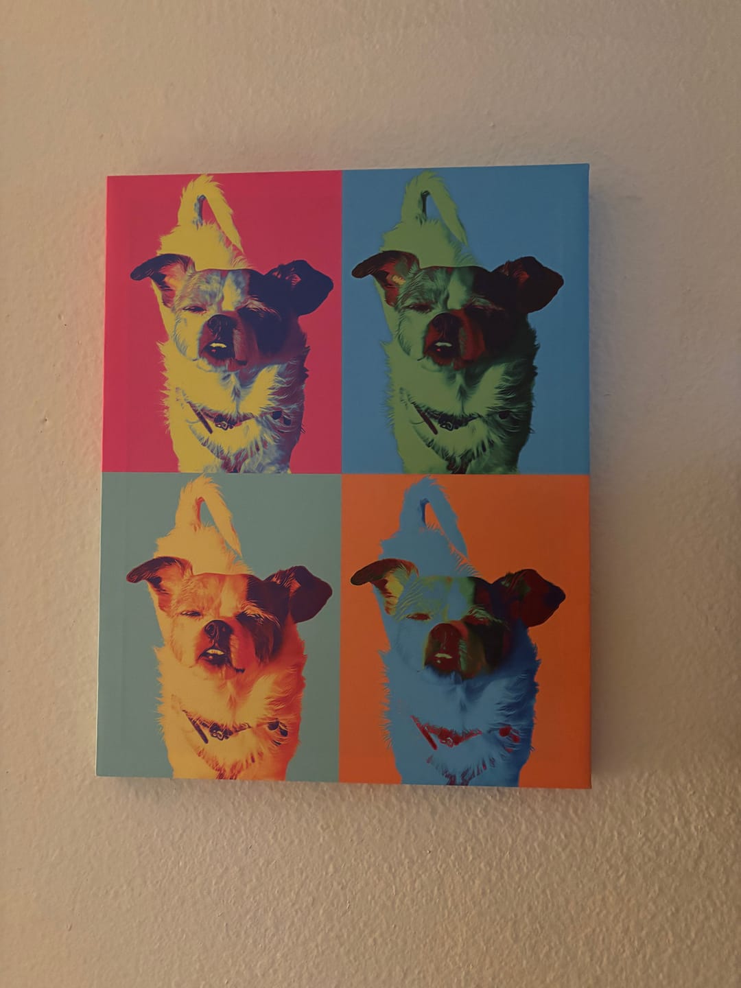 Customer photo review of Artzuzu Custom Portrait For Pets - Andy Warhol Style Portrait