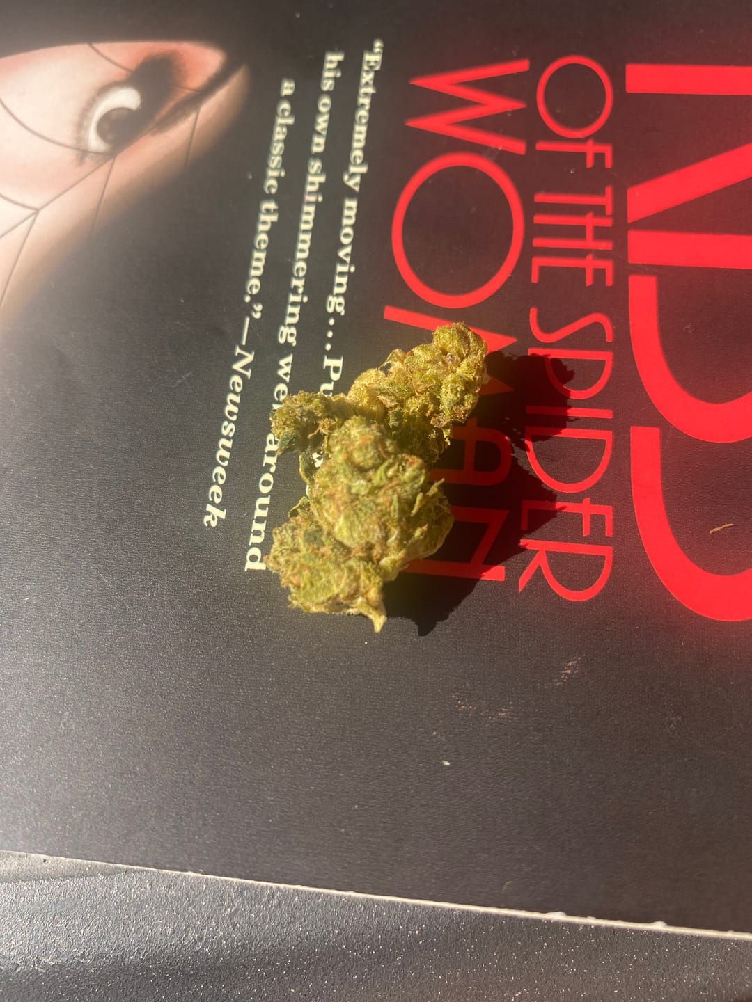Customer photo review of Rizzler - Sativa - Everyday Fix THCA Flower
