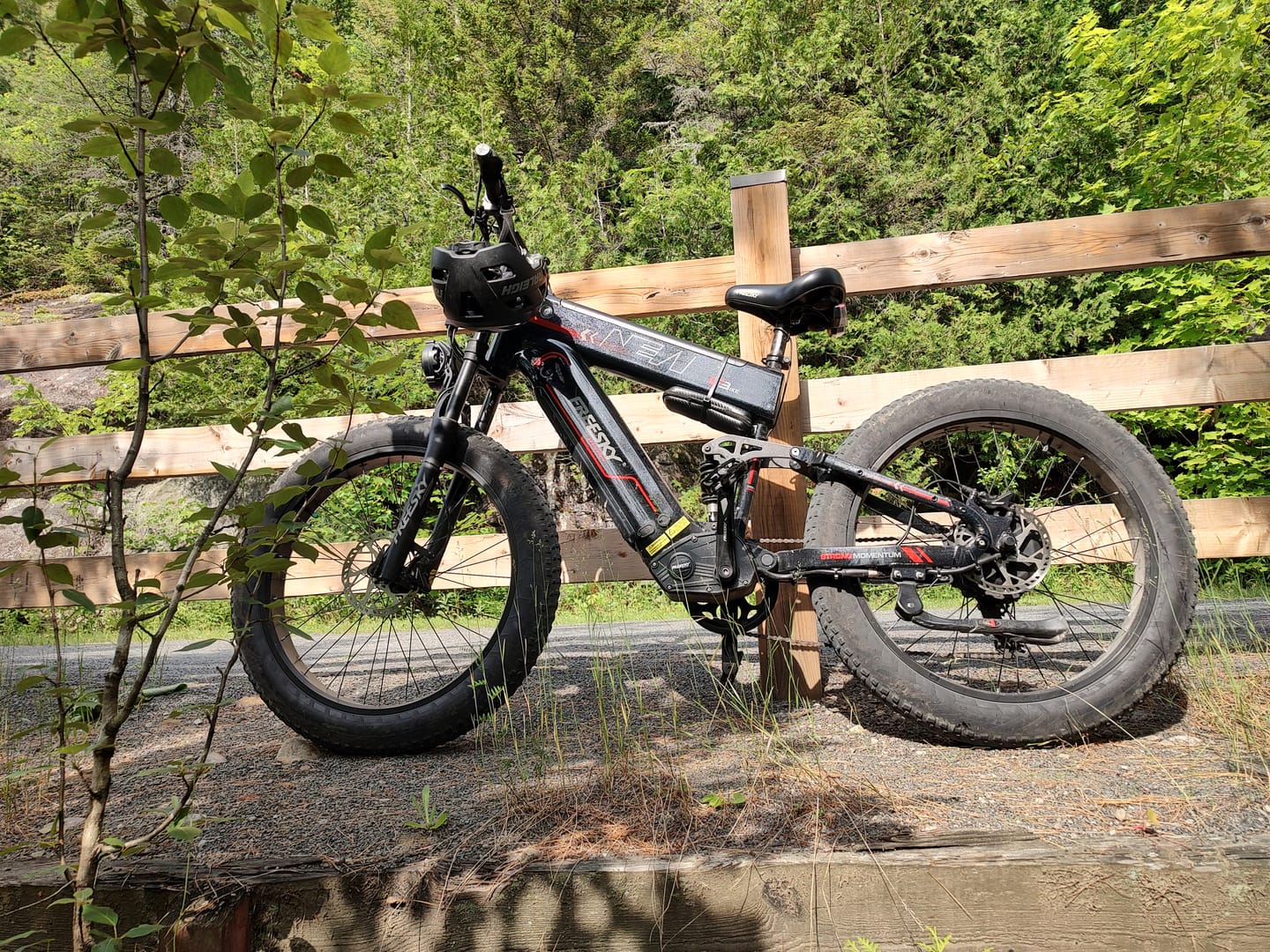 Customer photo review of Alaska Pro M-520