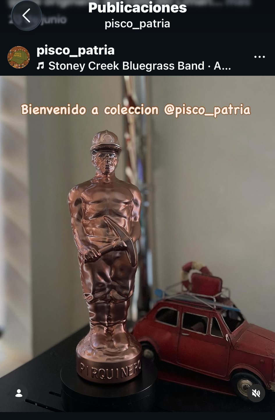Customer photo review of Pisco Pirquinero 40º Cobre Blanco 750 ml