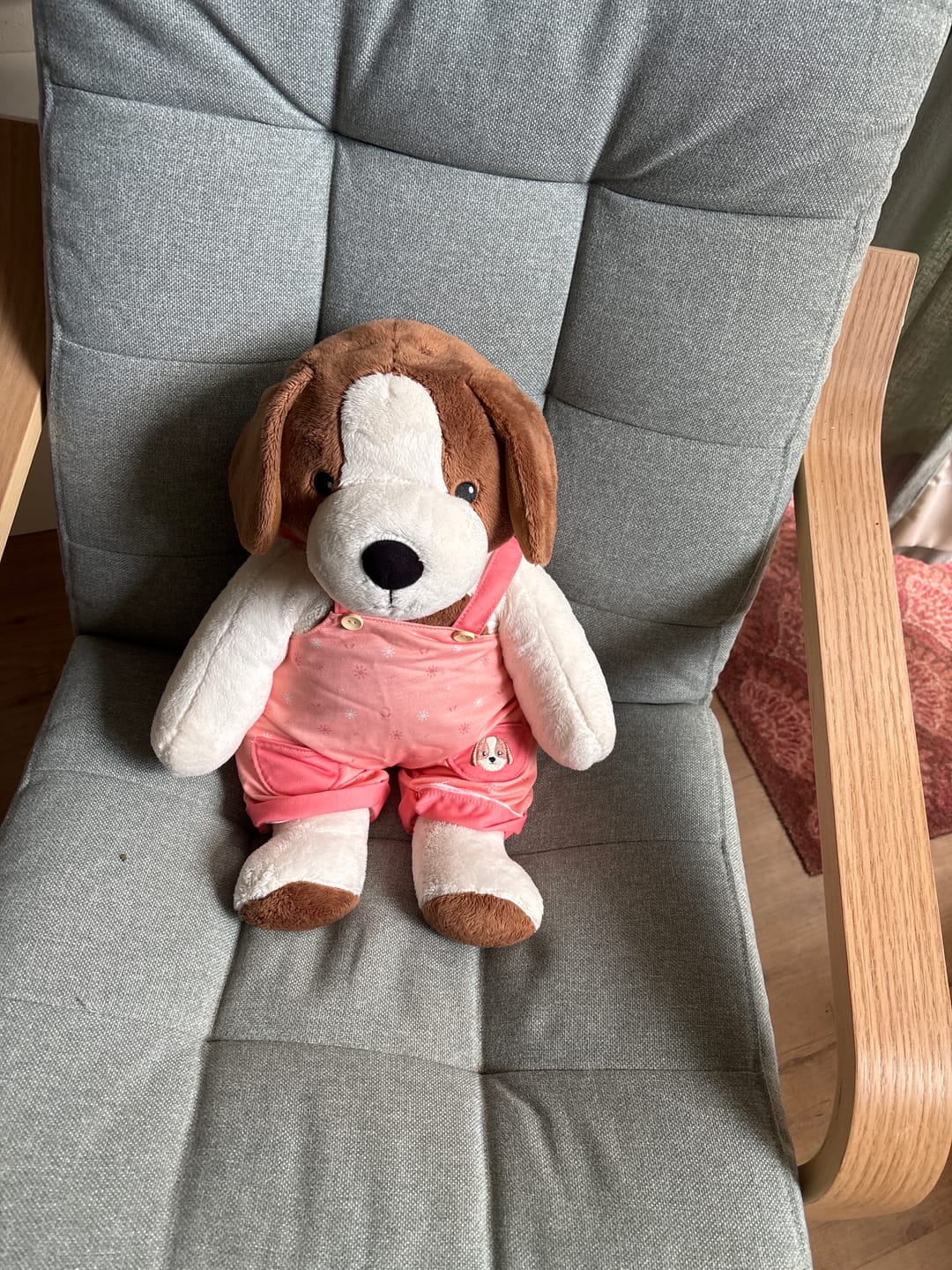 Customer photo review of Hond Kleding Lente Lotgenootje