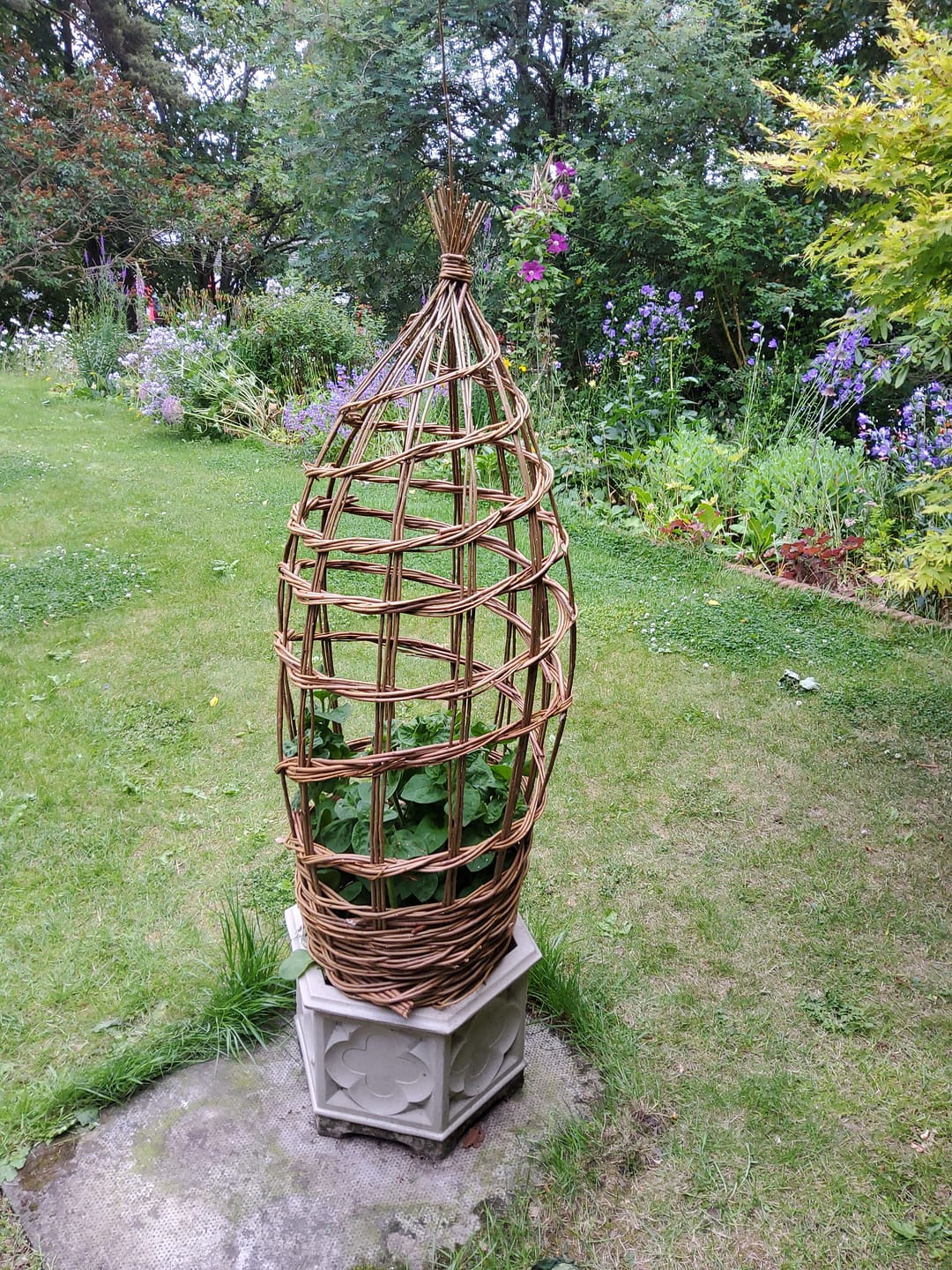 Customer photo review of The Willow Plant Support - Online Course and Kit