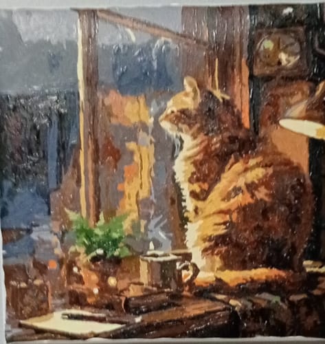 Customer photo review of Cozy Cat Rainy Window