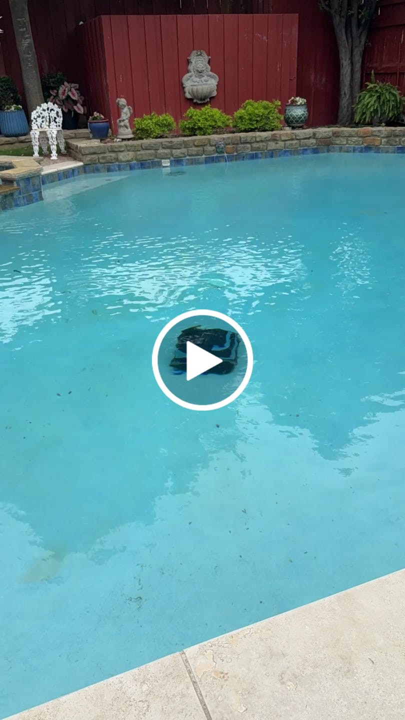 Customer video review of Dolphin EON 120d Cordless Robotic Pool Cleaner - 3 Year Warranty