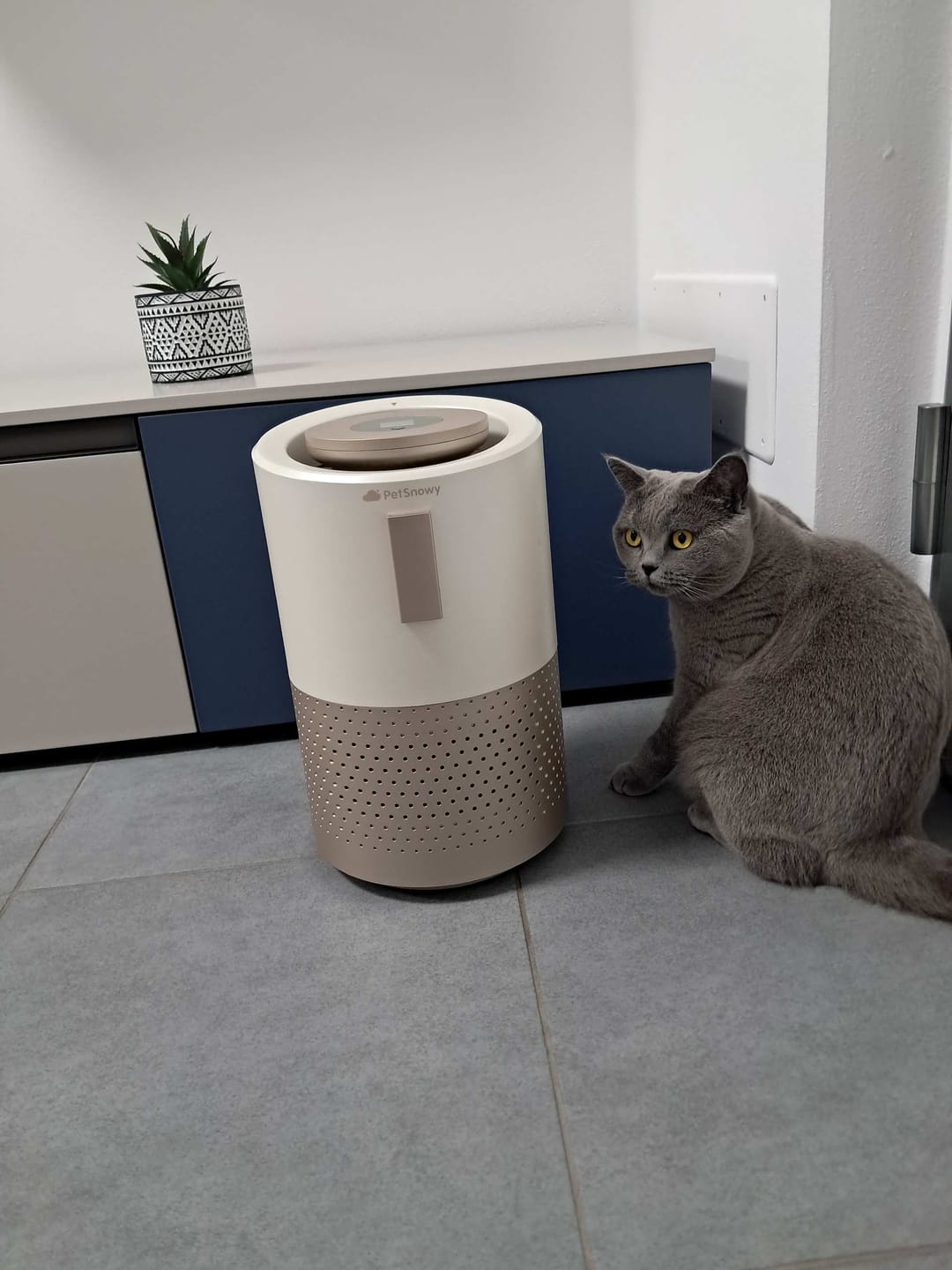 Customer photo review of Pet Air Purifier