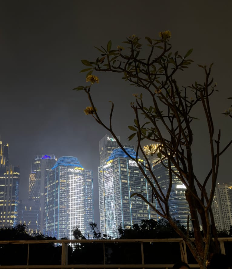 Customer photo review of iPhone Apple Log LUTs