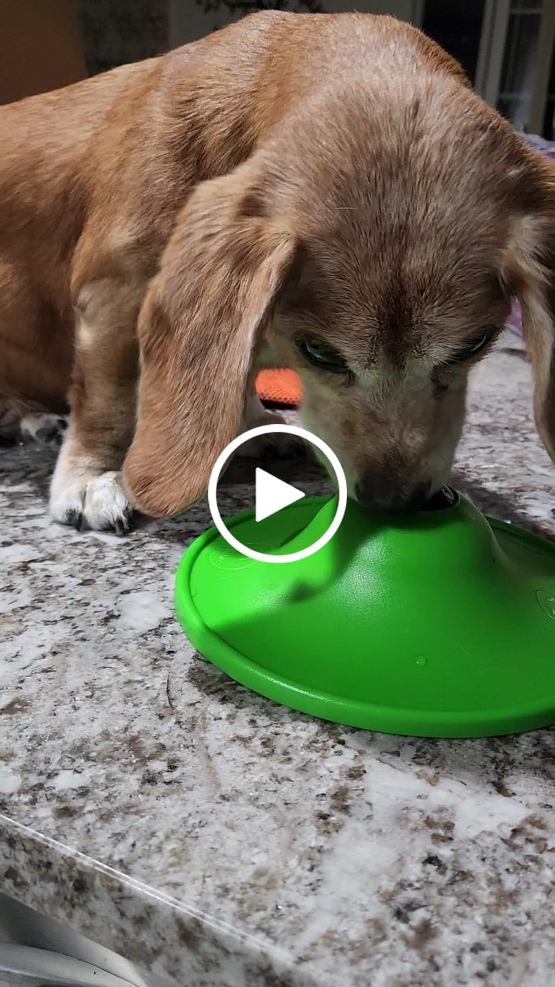 Customer video review of Soothing Saucer®