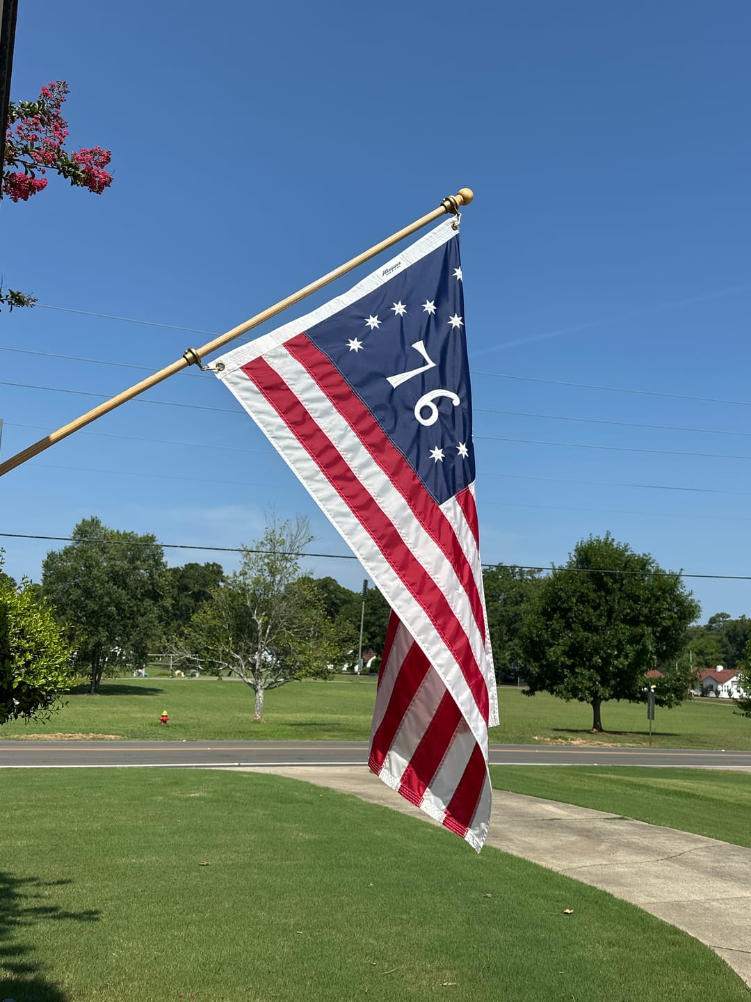 Customer photo review of Non-Tangle Flagpole Spinners