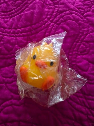 Customer photo review of Duck LED Night Light