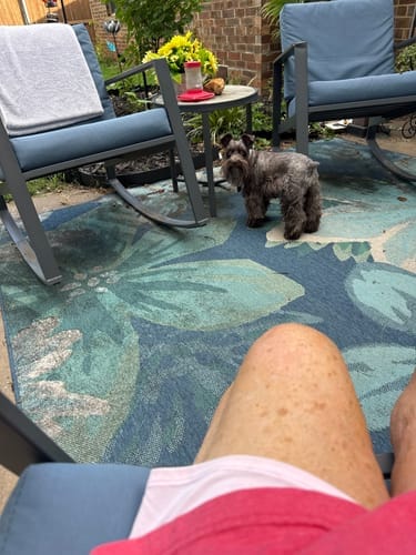 Customer photo review of Himalayan Yak Chews — 4 Flavor Variety Pack | Find Your Dog's Favorite (CA)