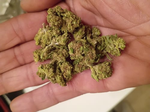 Pineapple Express - Minis - 28 Grams - Sativa photo review