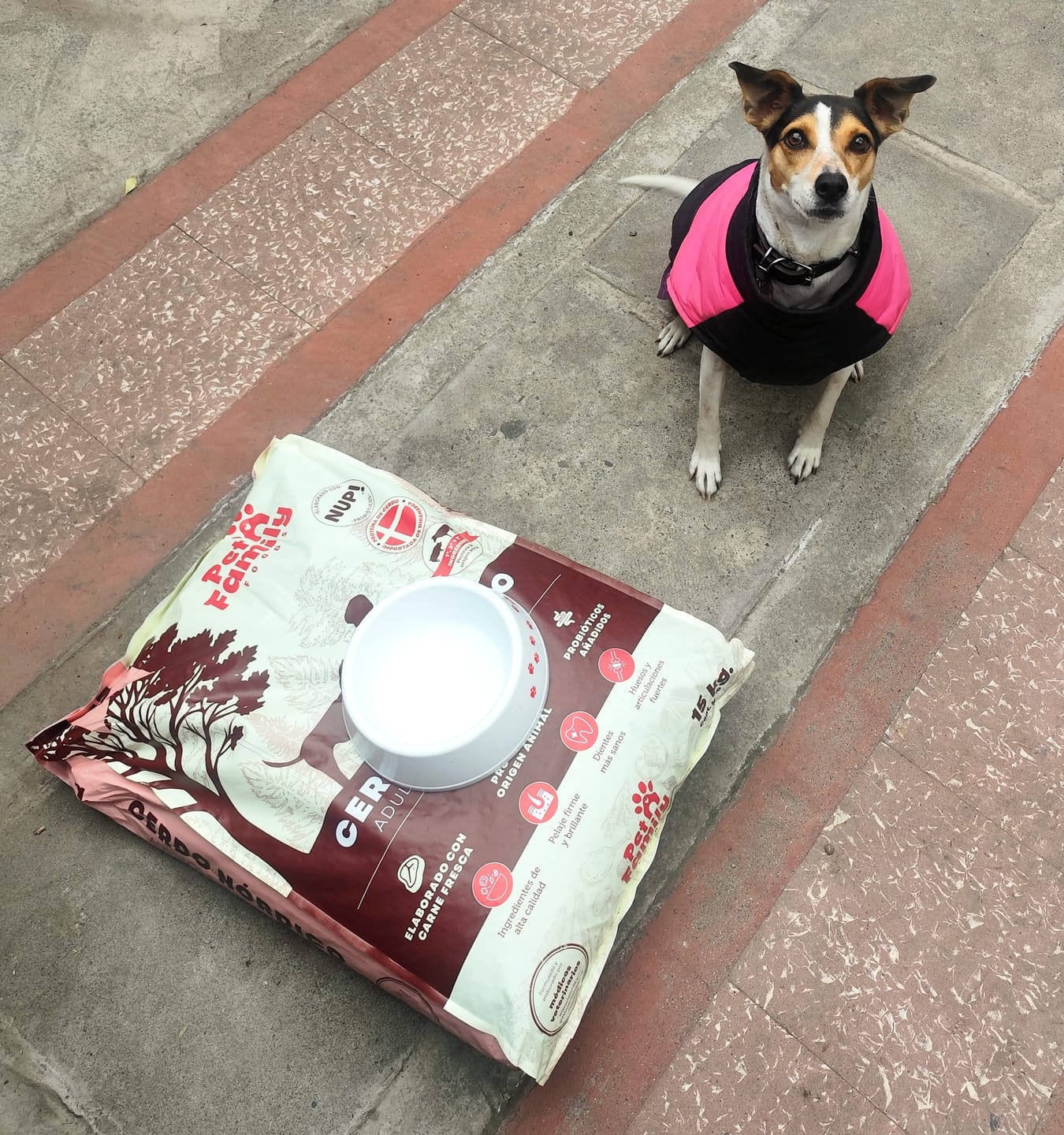 Customer photo review of PetFamily Foods Cerdo Nordico