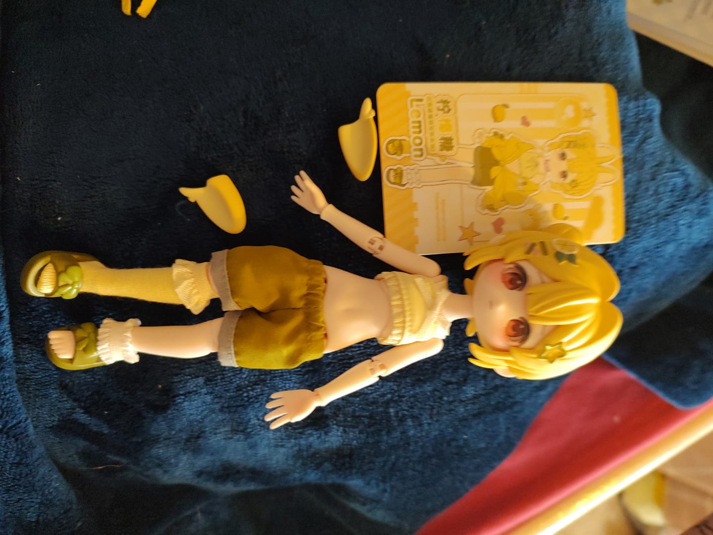 Customer photo review of The Hard Candy Institute Series 1/12 Action Figure BJD Blind Box