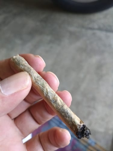 Blue Dream - 28 Gramm - Sativa photo review