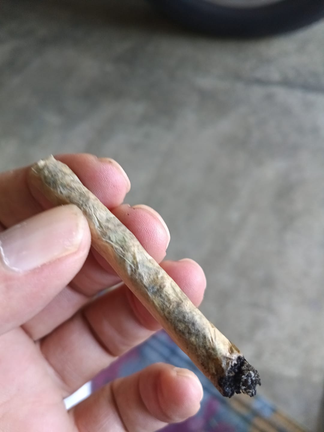 Customer photo review of Blue Dream - 28 Grams - Sativa
