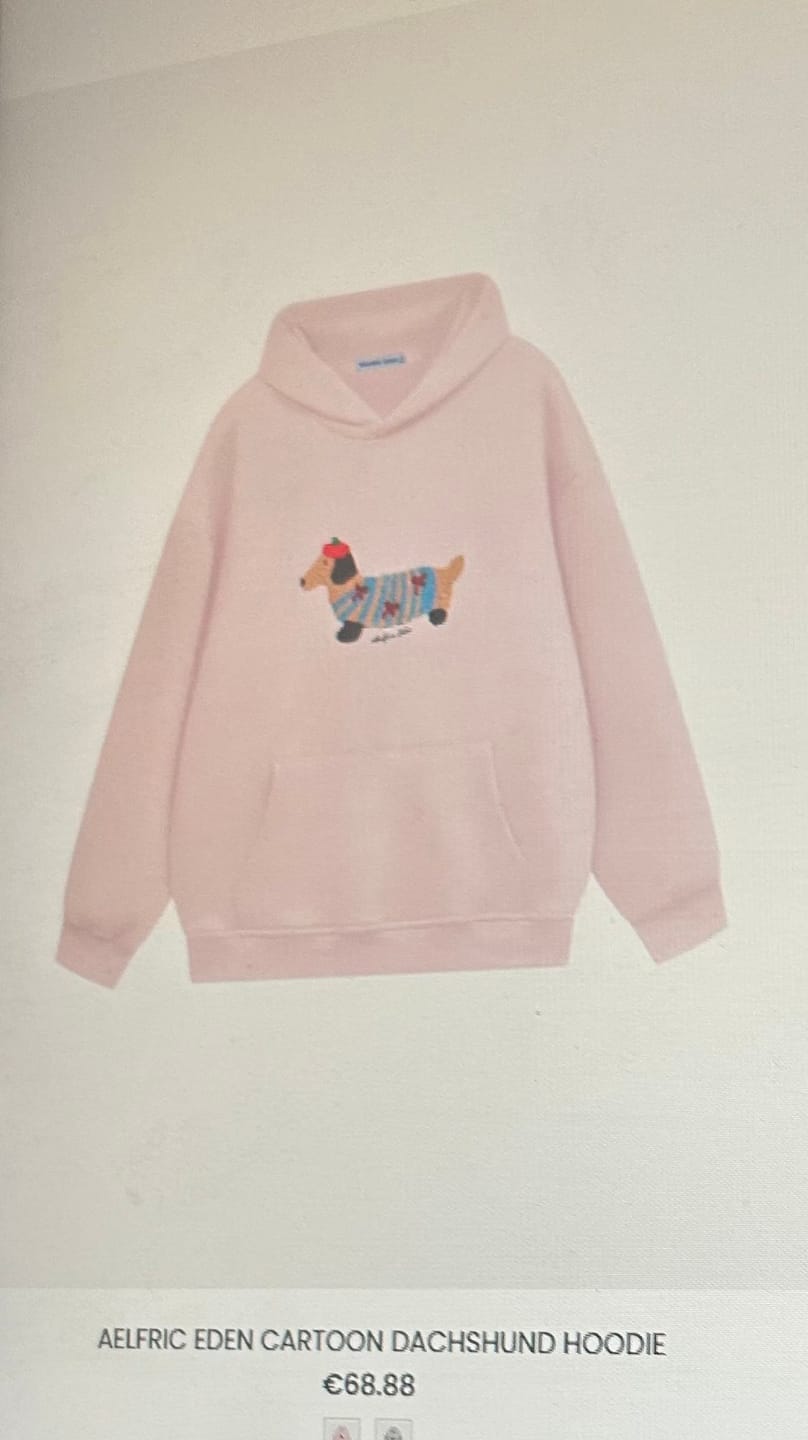 Customer photo review of Aelfric Eden Cartoon Dachshund Hoodie