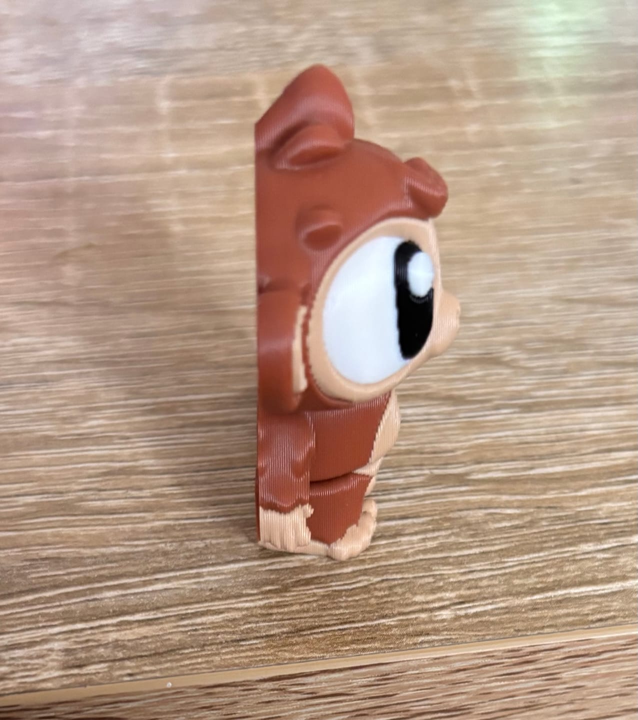 Customer photo review of Monkey