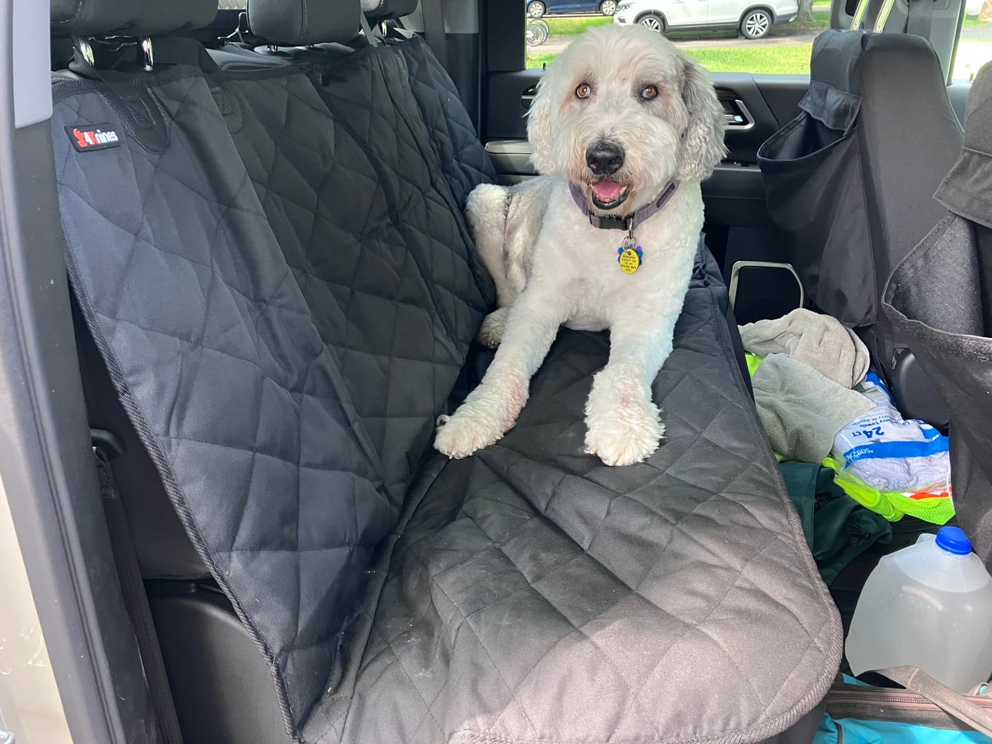 Customer photo review of Rear Seat Cover for Fold Down Seats - No Hammock - XL