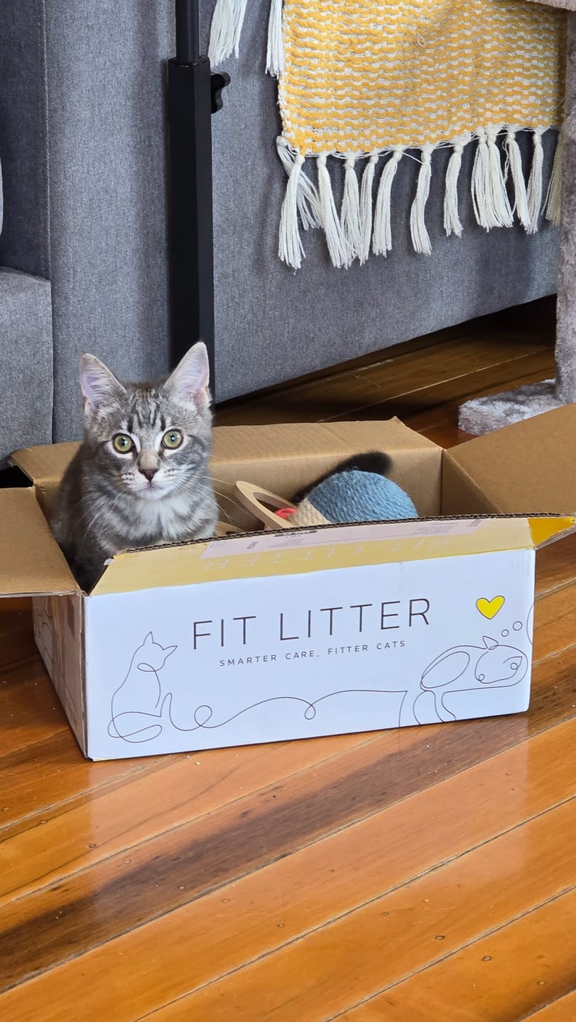 Customer photo review of Fit Litter